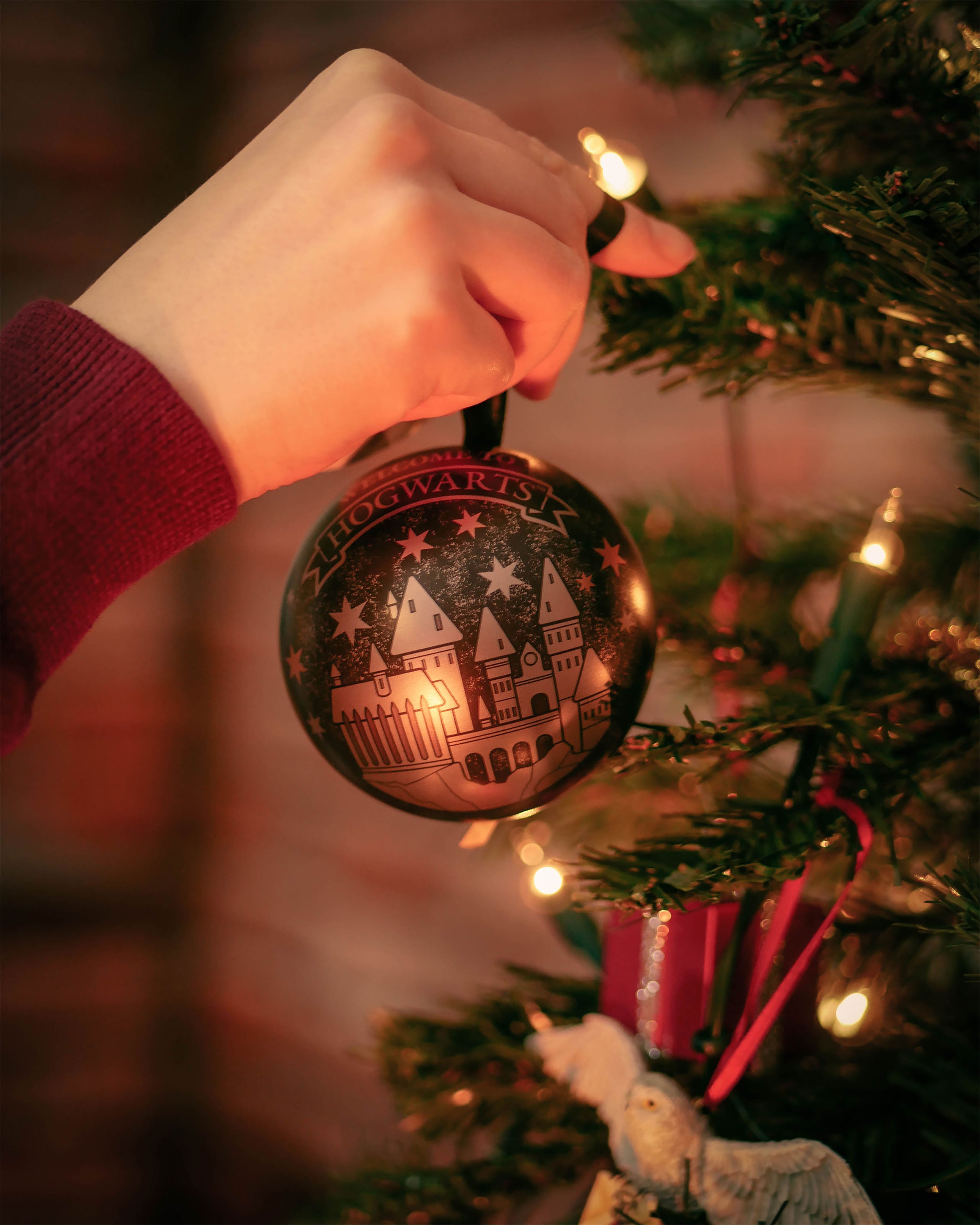 Image produit Harry Potter - Boule de Noël Poudlard avec set de boucles d'oreilles