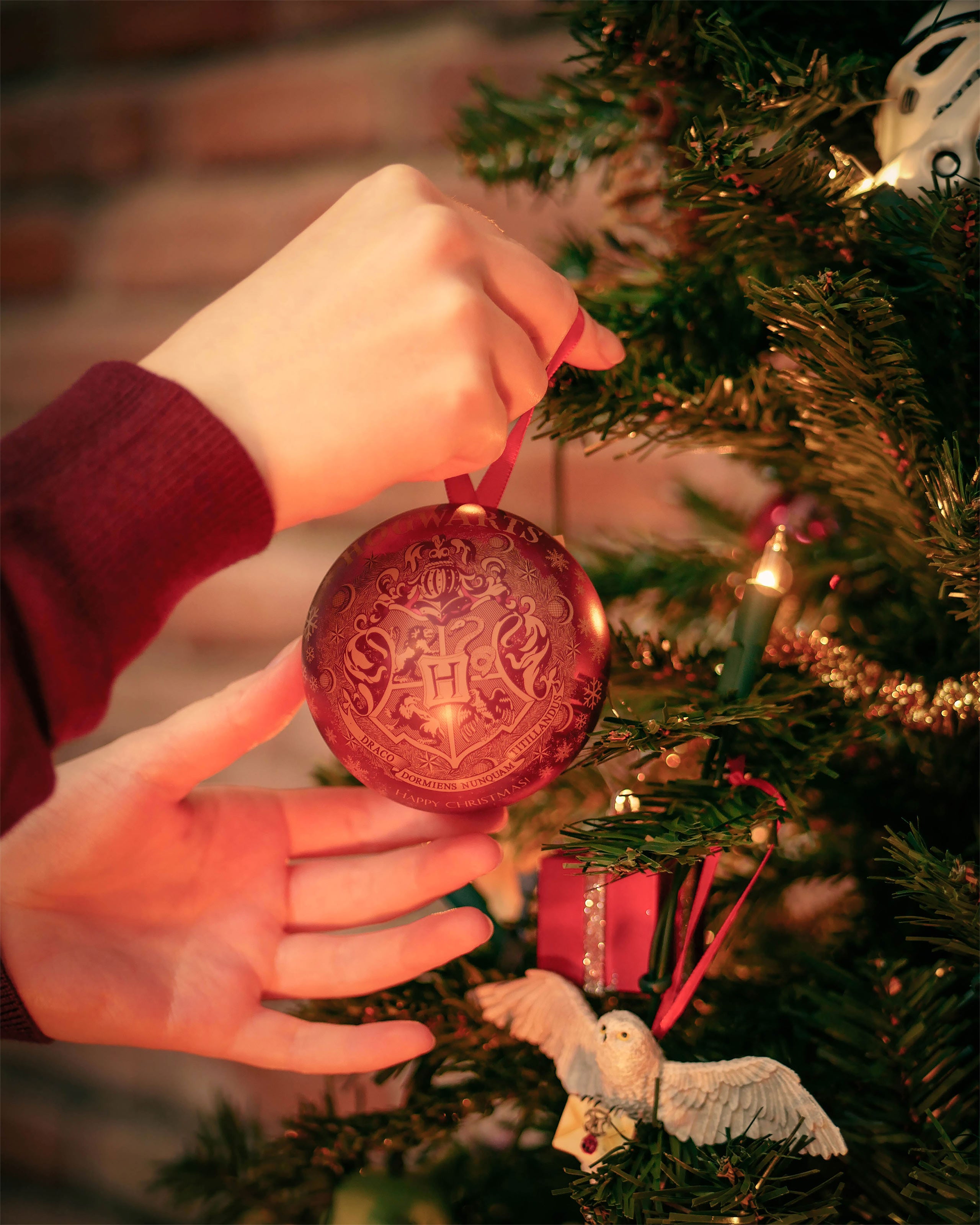Image produit Harry Potter - Boule de Noël blason de Poudlard avec collier Vif d'Or