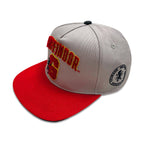 Product image Harry Potter - Gryffindor Terry Logo Snapback Cap
