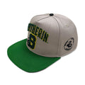 Image produit Harry Potter - Casquette Snapback Logo Slytherin en éponge