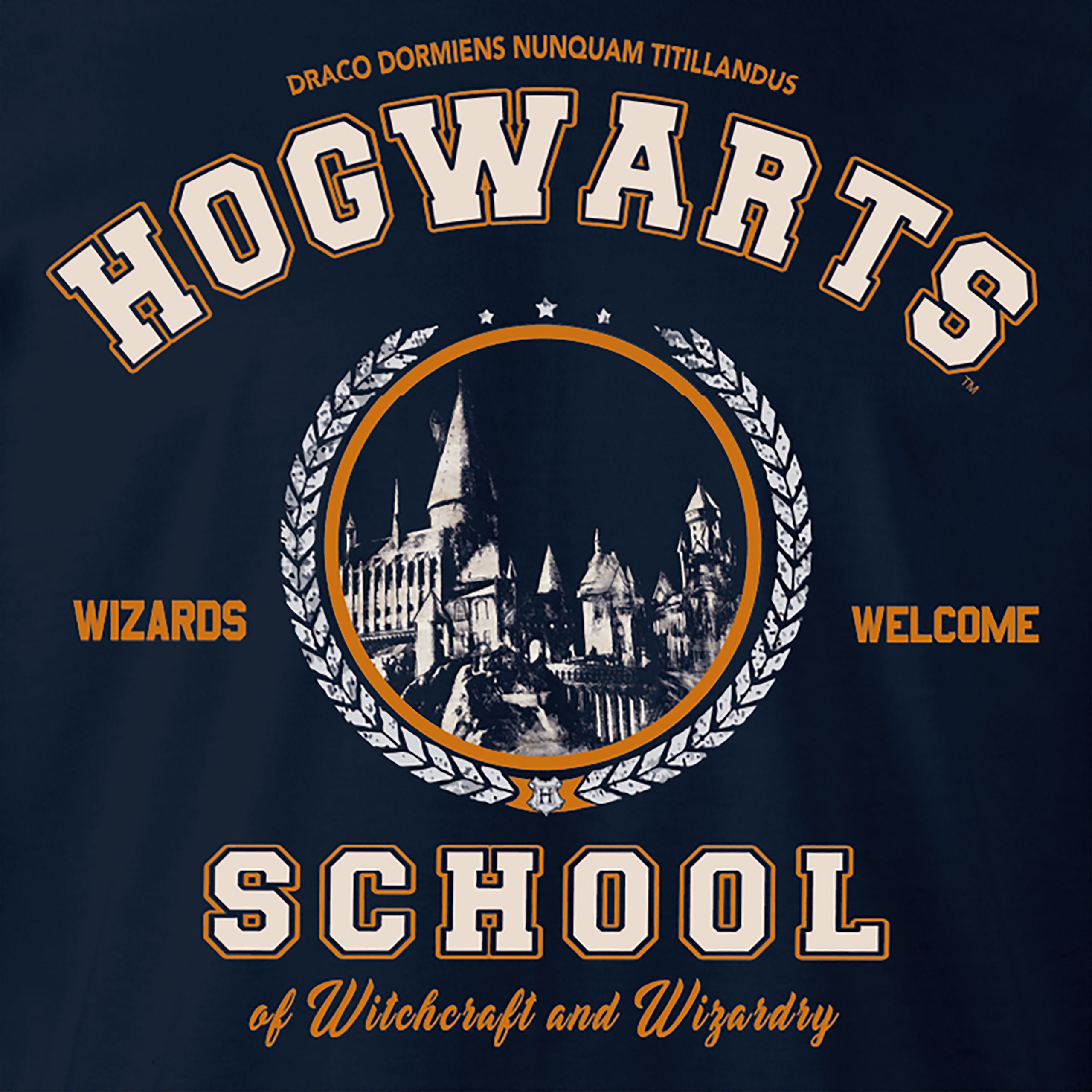 Image produit Harry Potter - Sweat à capuche bleu de l'école de Poudlard