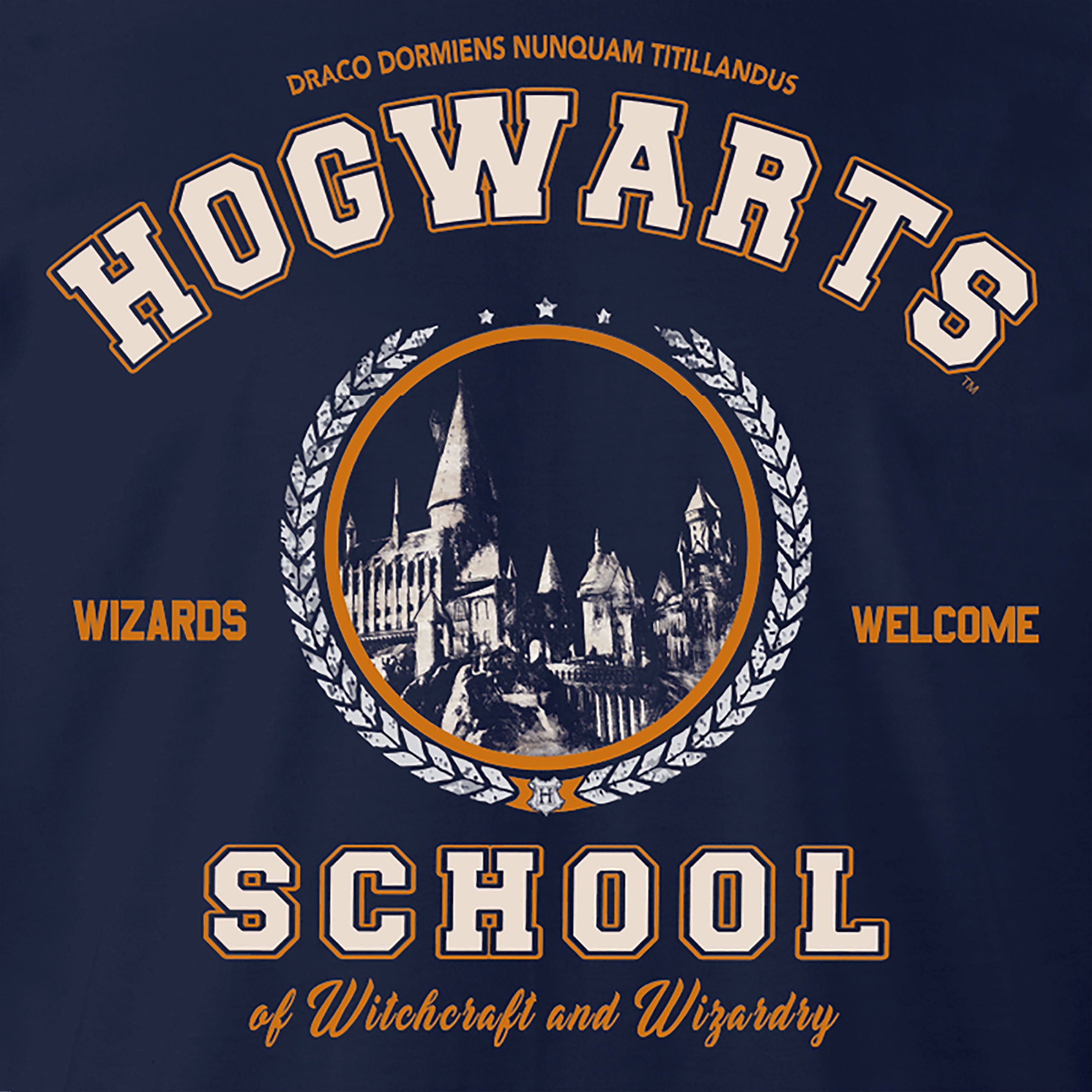Image produit Harry Potter - T-shirt bleu de l'école de Poudlard