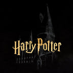 Image produit Harry Potter - T-shirt Château de Poudlard Noir