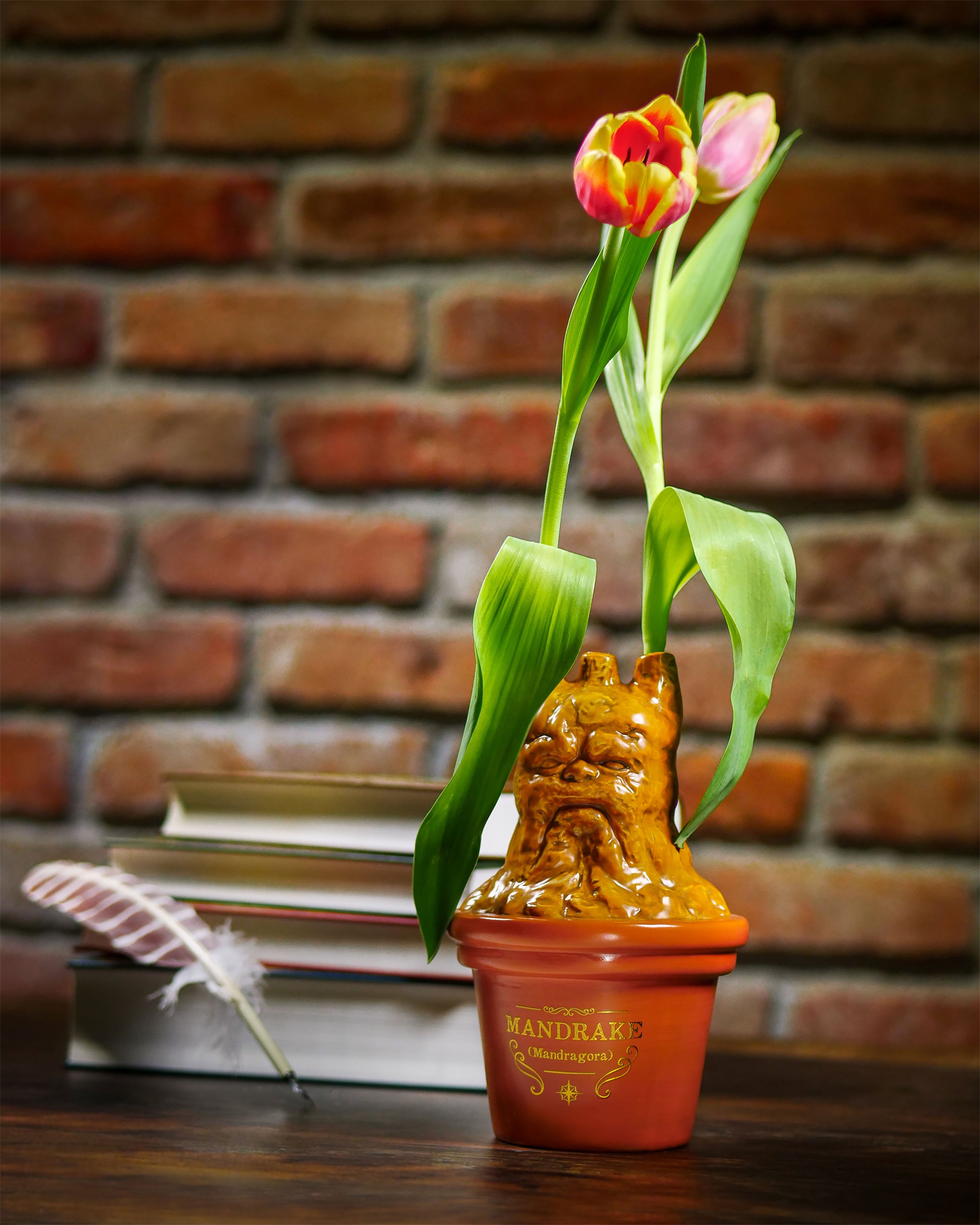 Image produit Vase Mandragore - Harry Potter
