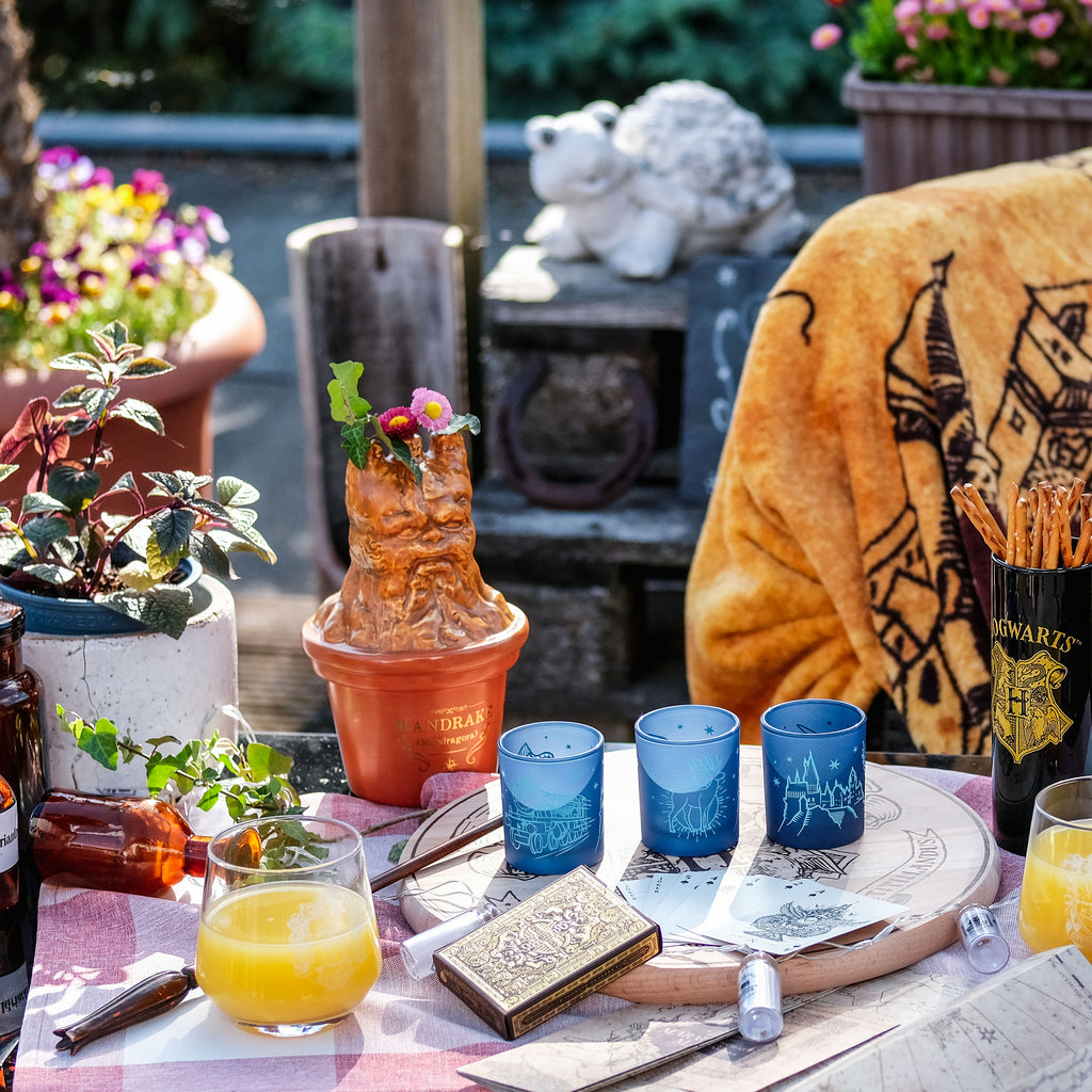 Image produit Vase Mandragore - Harry Potter