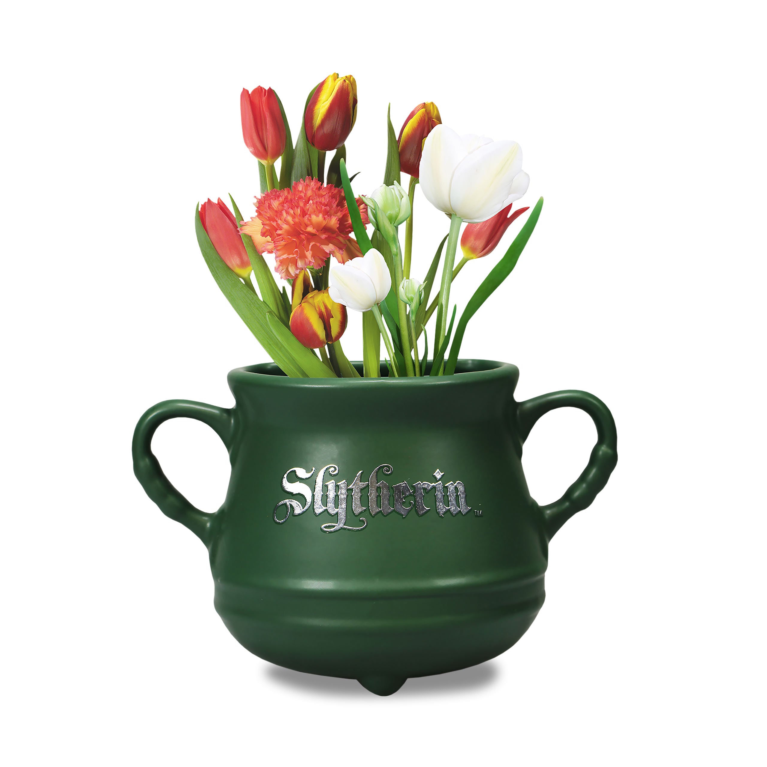 Image produit Harry Potter - Vase Slytherin