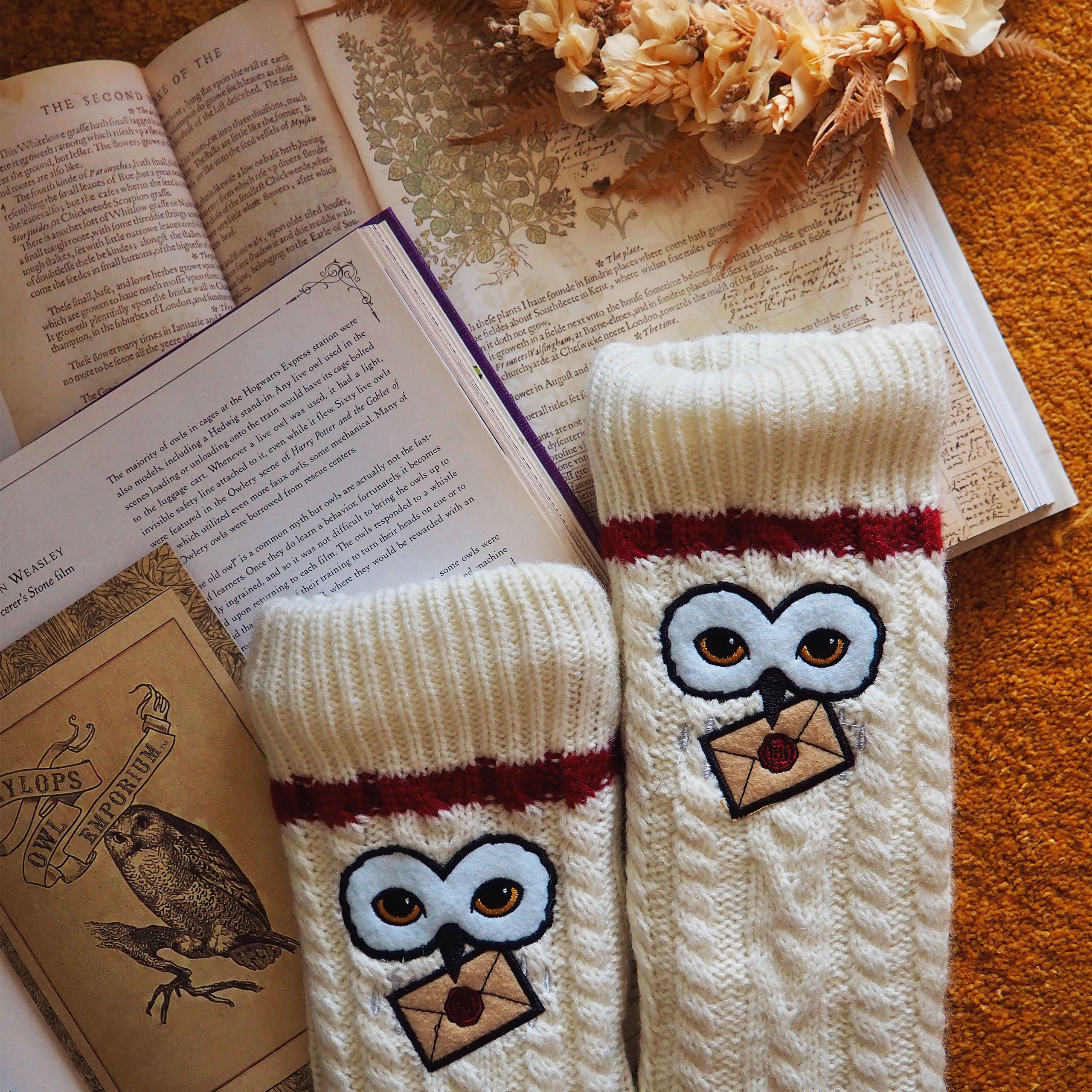Image produit Harry Potter - Chaussettes Hedwig avec fourrure Teddy
