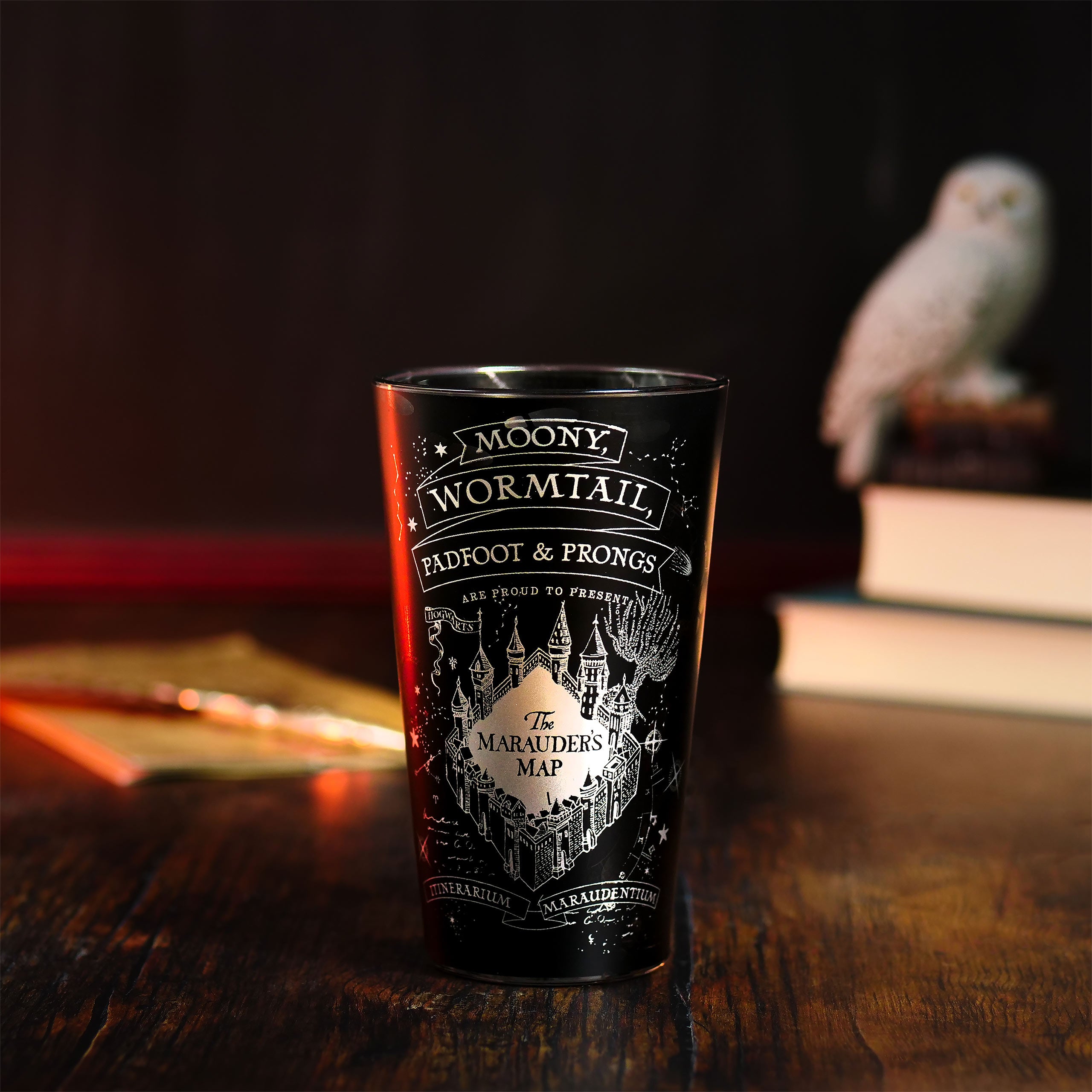 Image produit Harry Potter - Verre noir de la Carte du Maraudeur