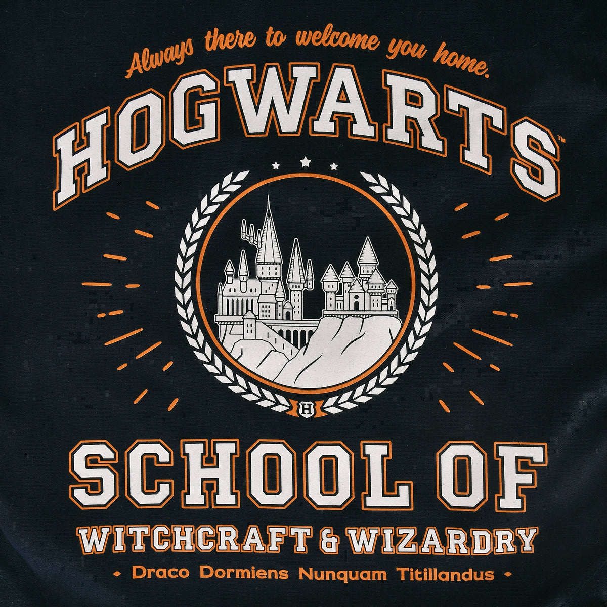 Image produit Sac de sport Hogwarts School bleu - Harry Potter