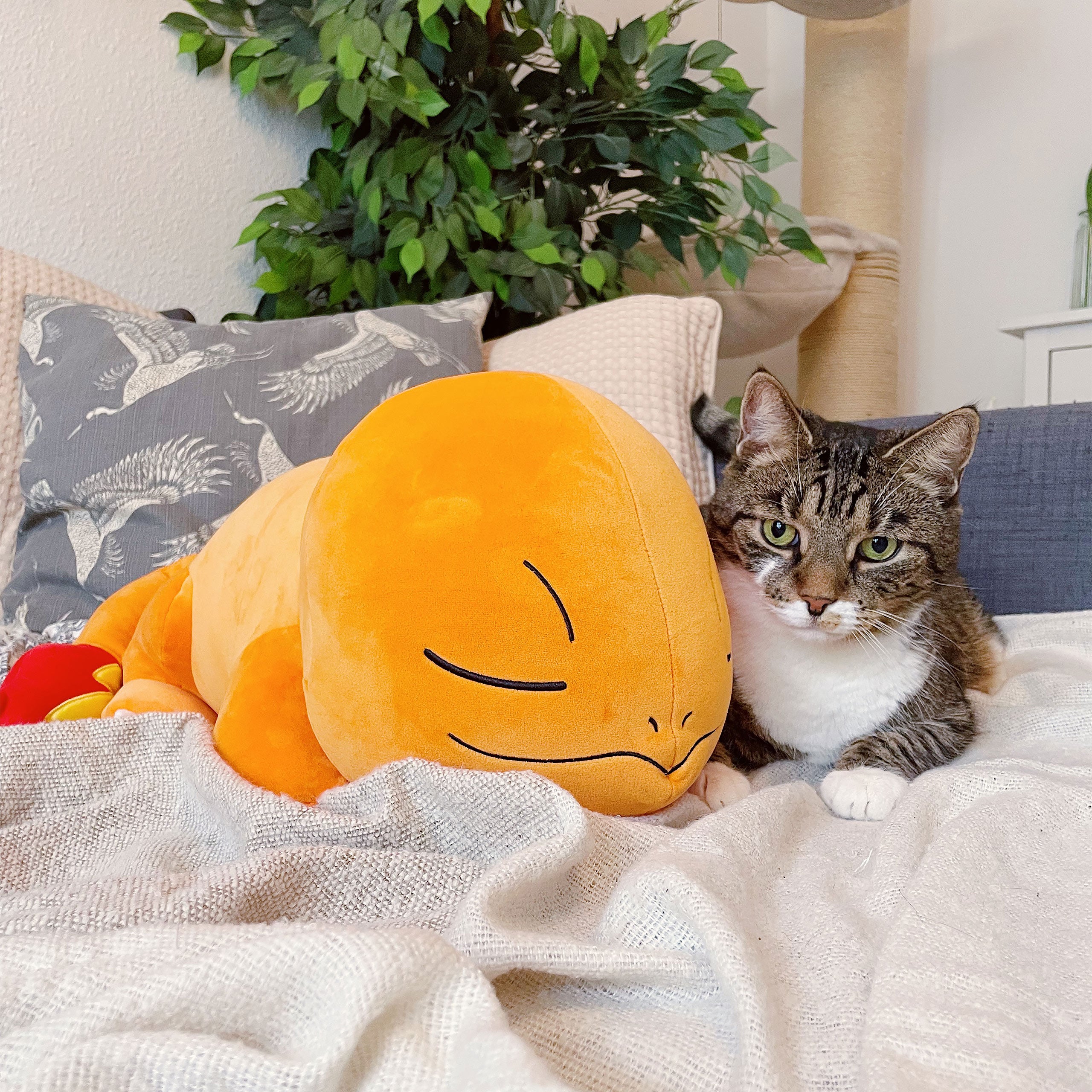 Image produit Pokemon - Figurine en peluche Charmander endormi