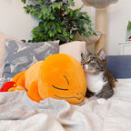Image produit Pokemon - Figurine en peluche Charmander endormi