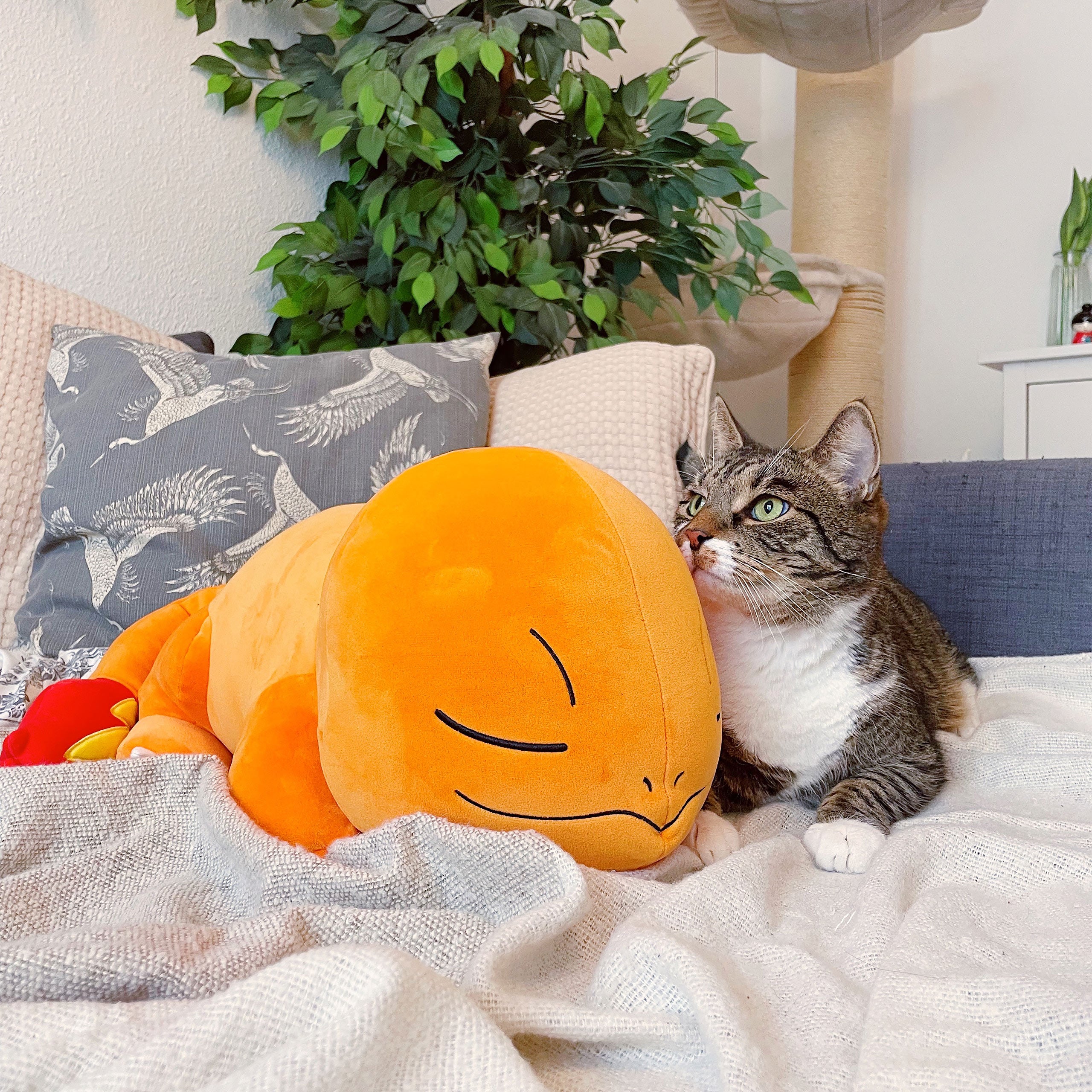 Image produit Pokemon - Figurine en peluche Charmander endormi