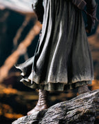 Image produit Le Seigneur des Anneaux - Statue Aragorn Deluxe 1:6