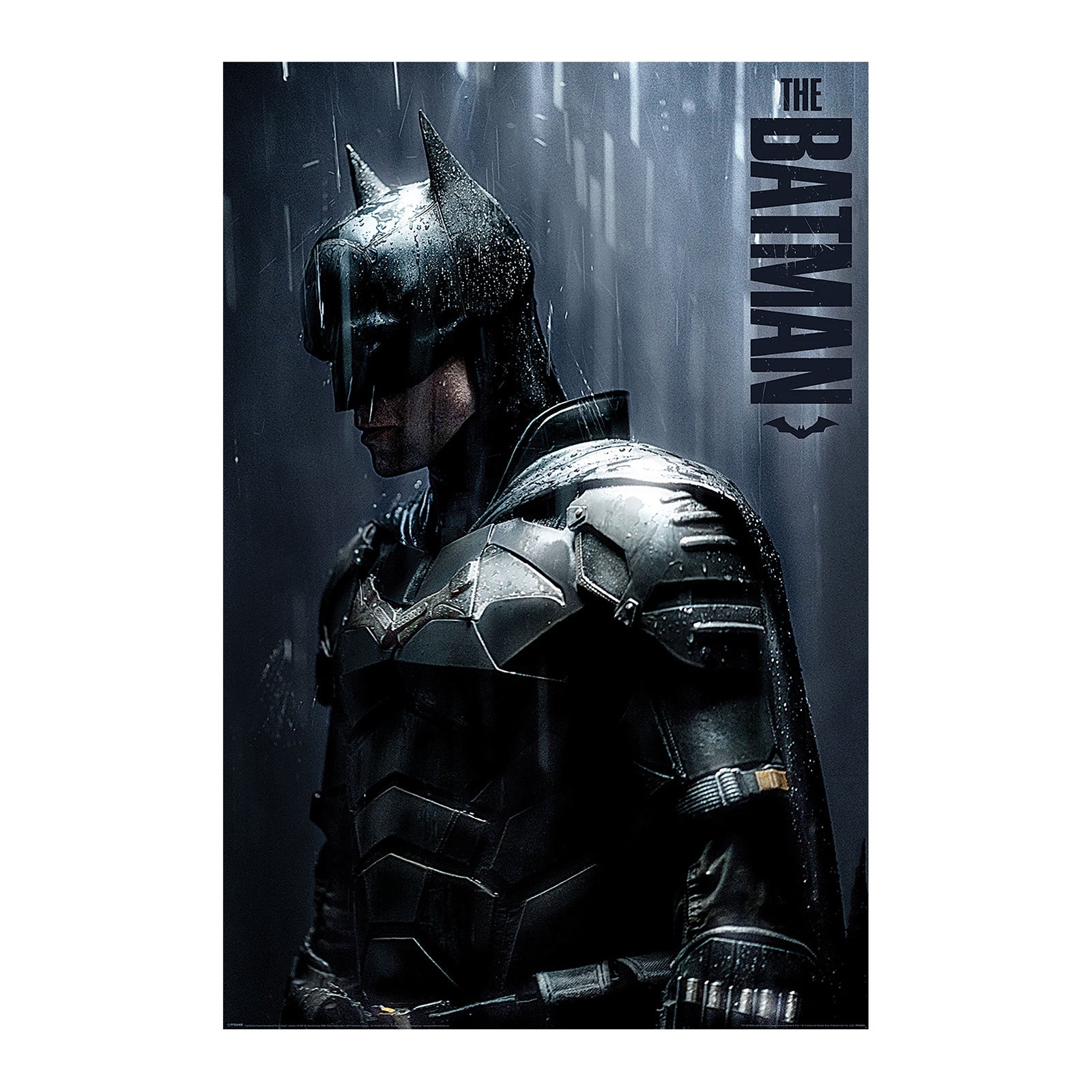 Image produit The Batman - Downpour Maxi Poster