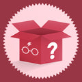 Image produit Boîte surprise pour les fans de Harry Potter