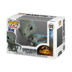 Image produit Jurassic World - Velociraptors Blue et Beta Figurine Funko Pop