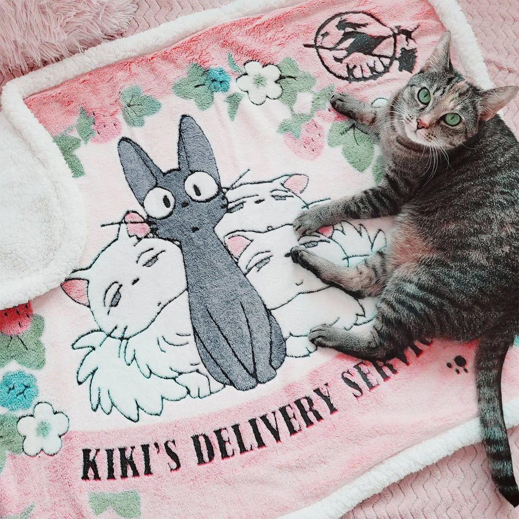 Image produit Le service de livraison de Kiki - Couverture Jiji