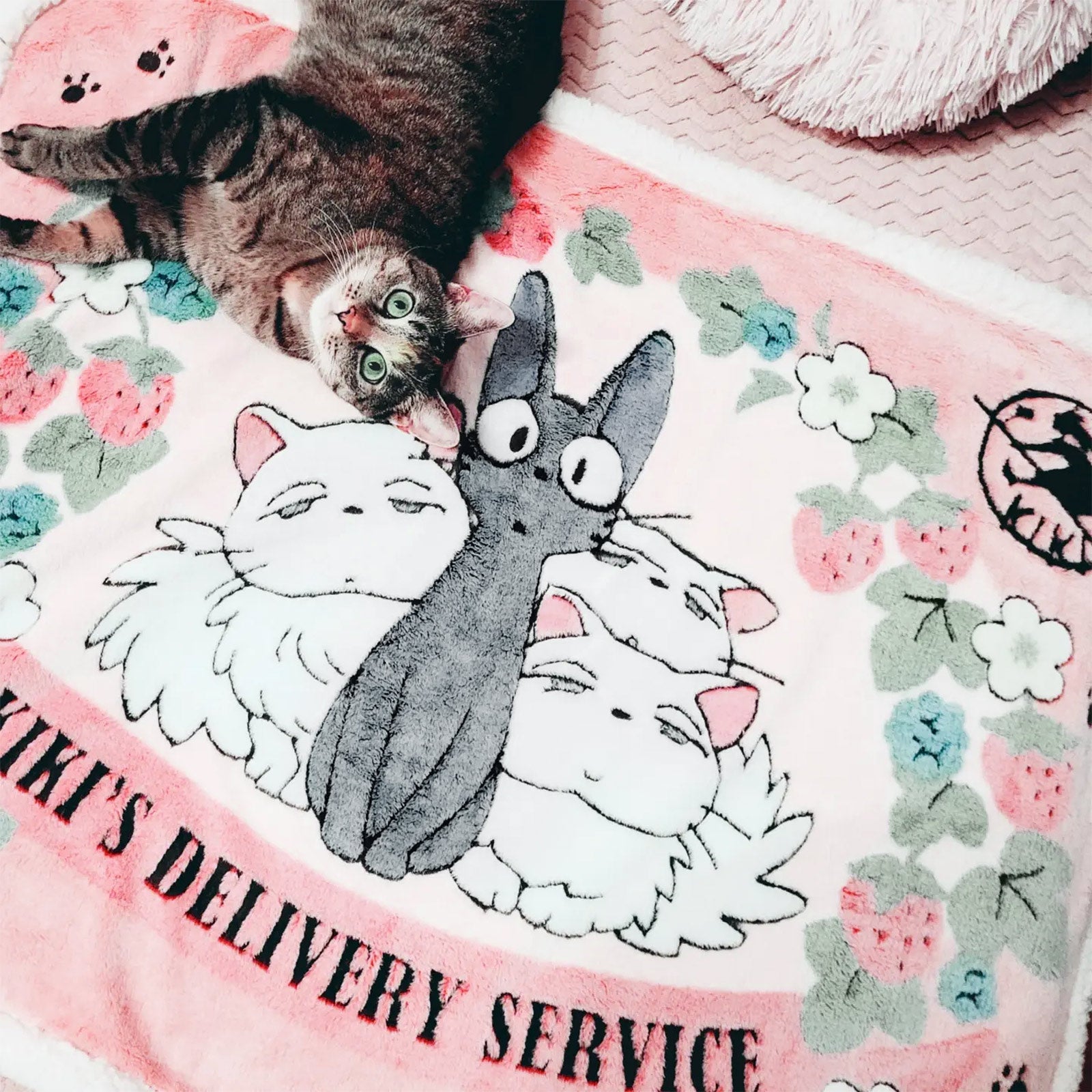 Image produit Le service de livraison de Kiki - Couverture Jiji