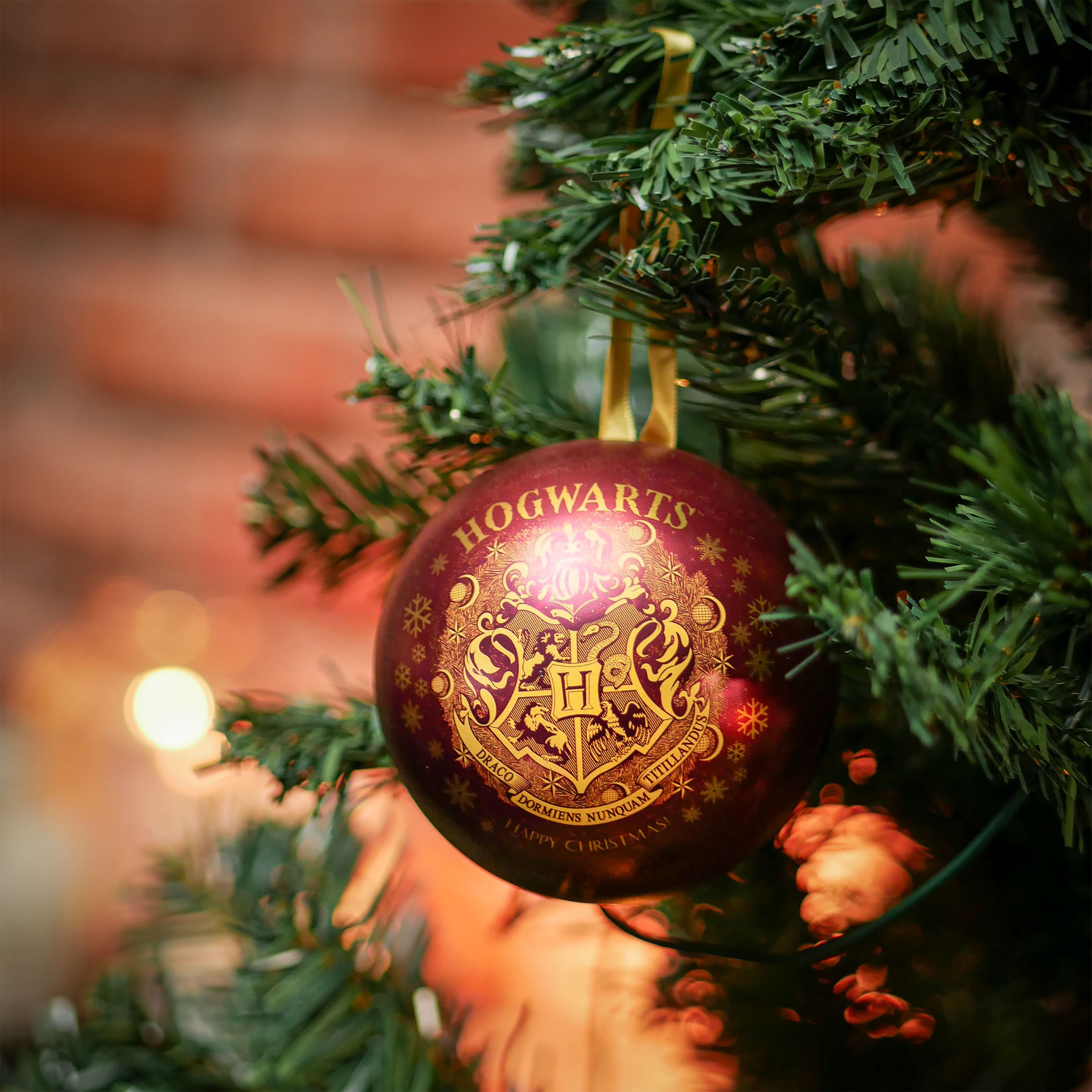 Image produit Harry Potter - Boule de Noël Poudlard avec Collier