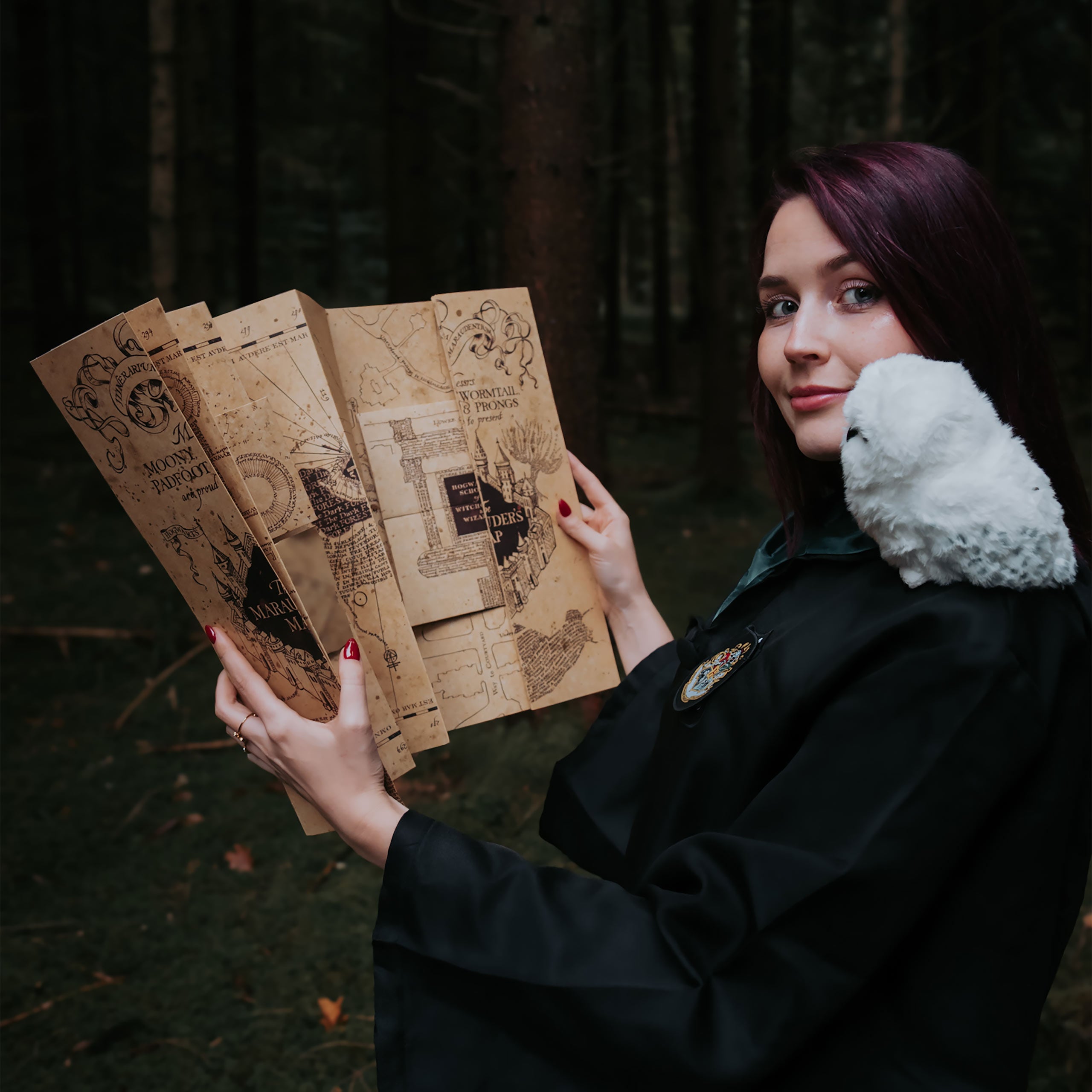 Image produit Carte du Maraudeur - Harry Potter