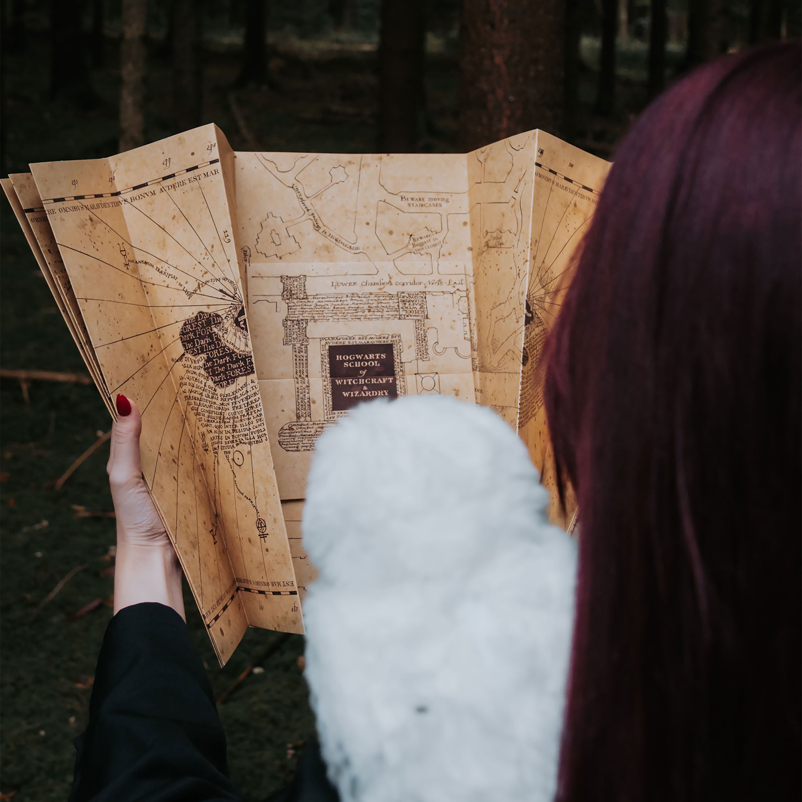 Image produit Carte du Maraudeur - Harry Potter