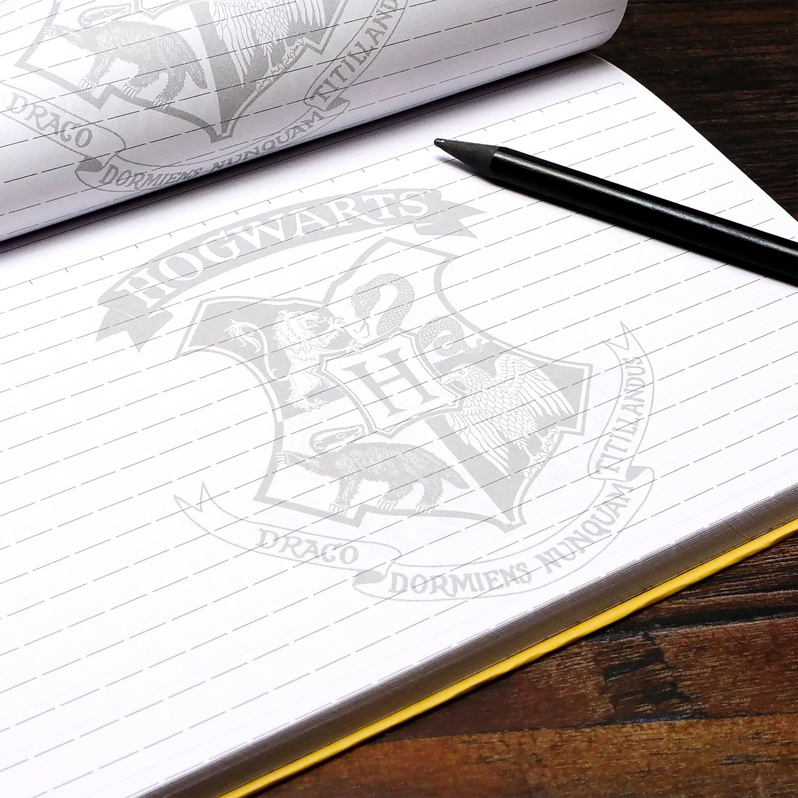 Product image Hogwarts Letter Notebook with Magnetic Closure A5 - Harry Potter