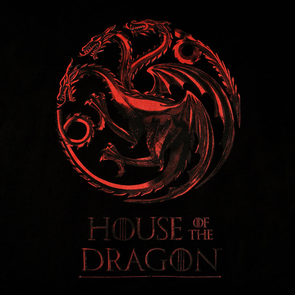 Image produit Maison du Dragon - T-shirt logo noir