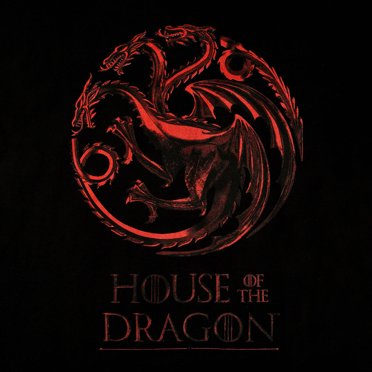 Image produit Maison du Dragon - T-shirt logo noir