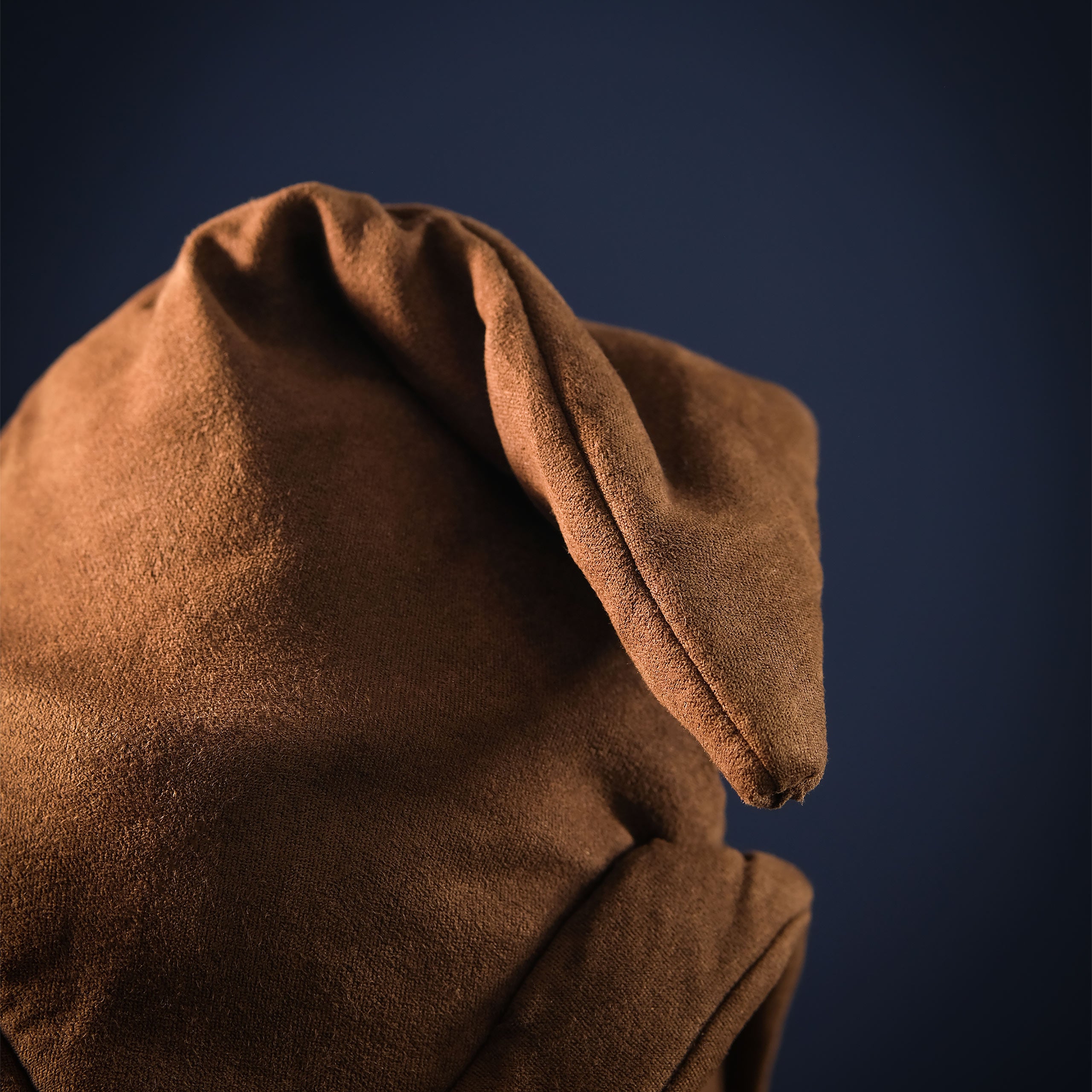 Image produit Harry Potter - Chapeau Parlant Interactif