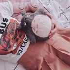 Image produit Figure en peluche Totoro grise