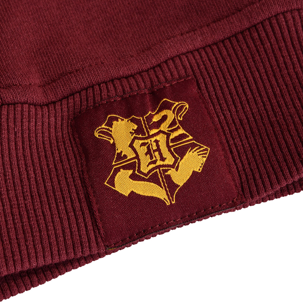 Image produit Harry Potter - Sweat à capuche rouge avec blason Gryffondor