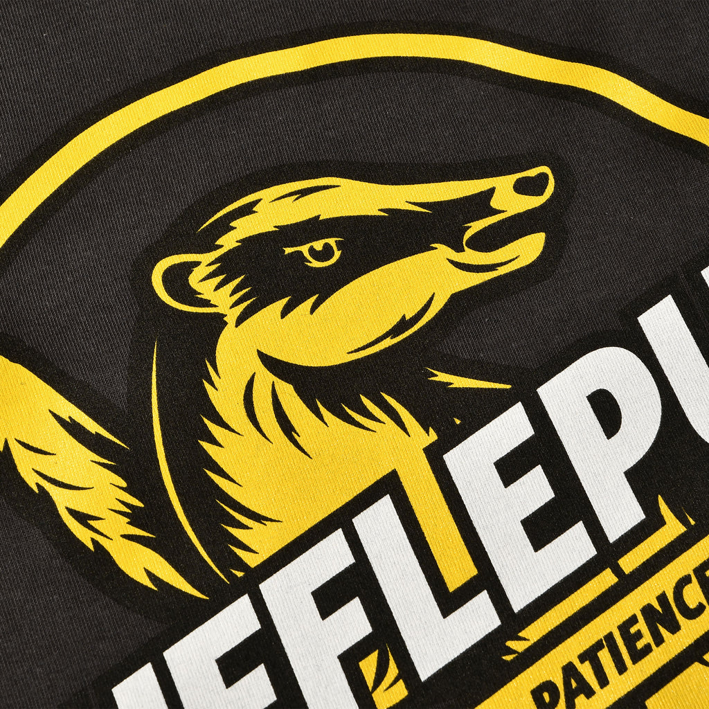 Product image Hufflepuff House Values T-Shirt Grey - Harry Potter