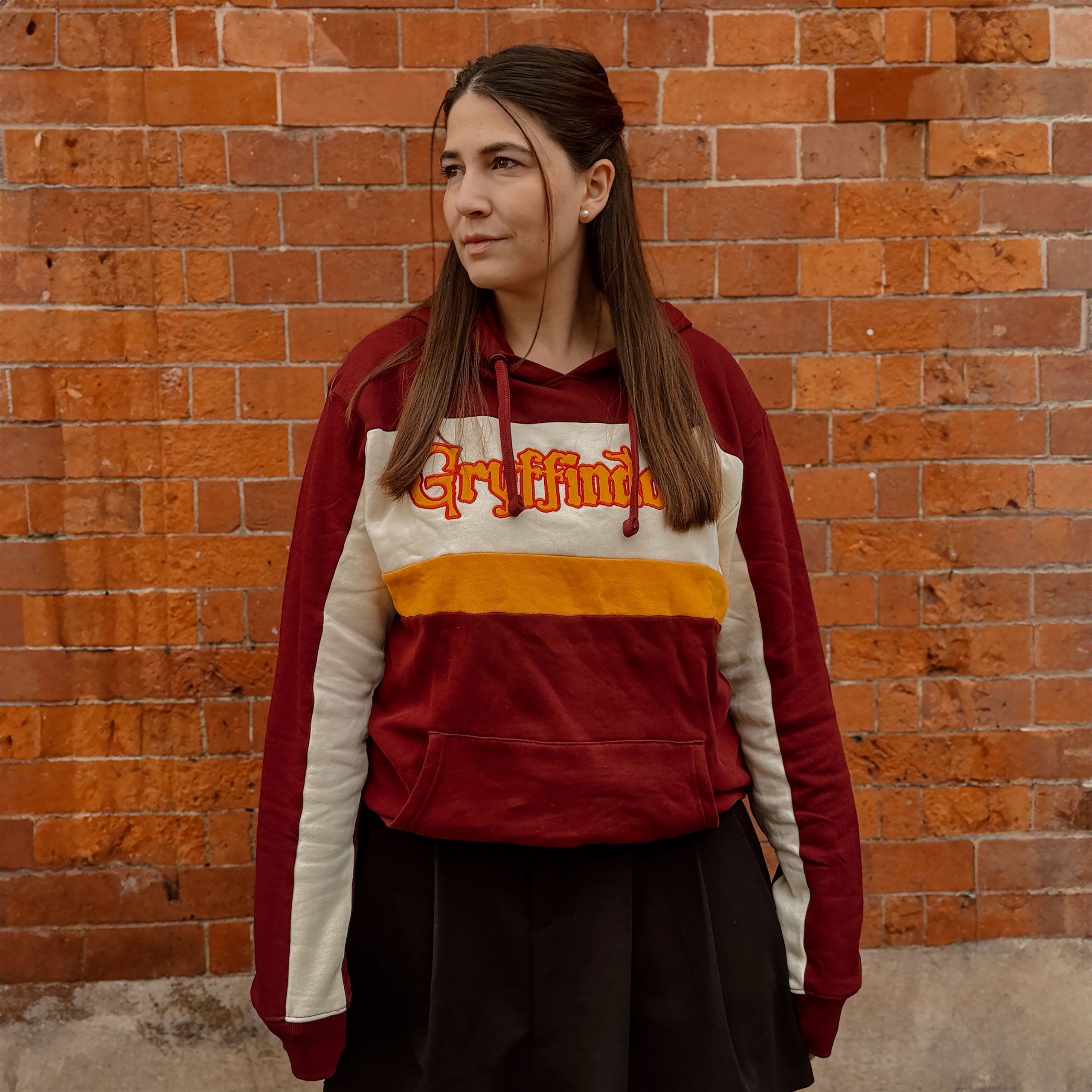 Image produit Harry Potter - Sweat à capuche de bloc de l'équipe Gryffondor