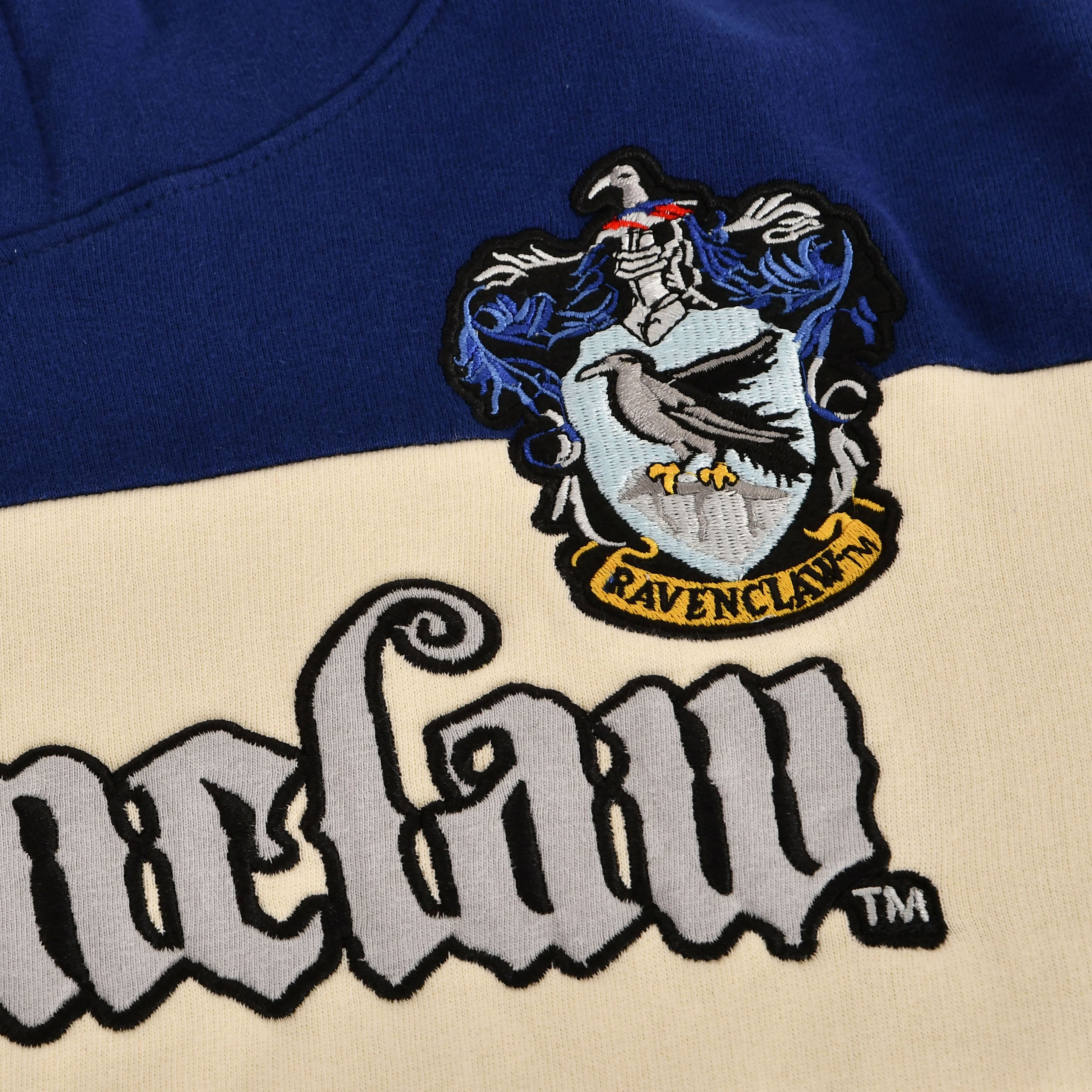 Image produit Harry Potter - Team Ravenclaw Block Hoodie