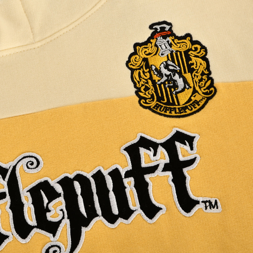 Product image Harry Potter - Team Hufflepuff Block Hoodie