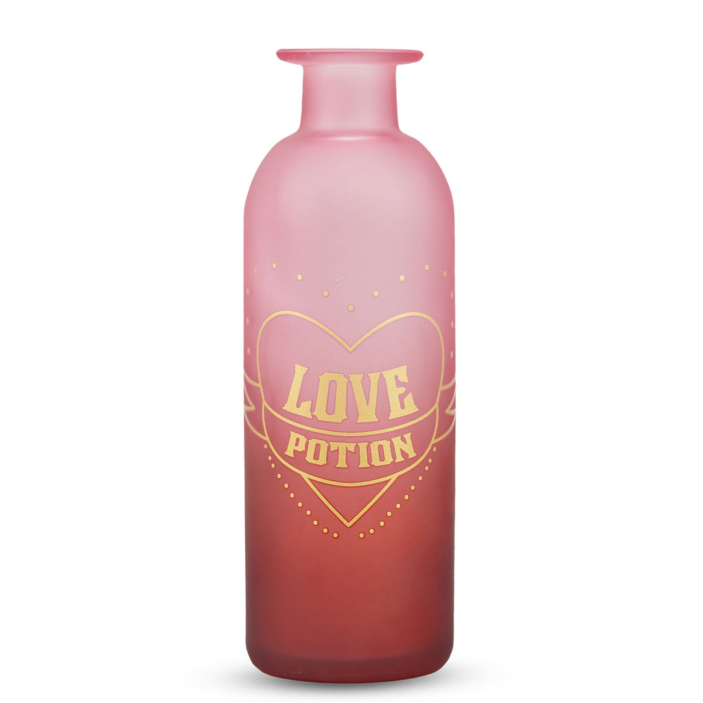 Image produit Harry Potter - Vase Potion Magique