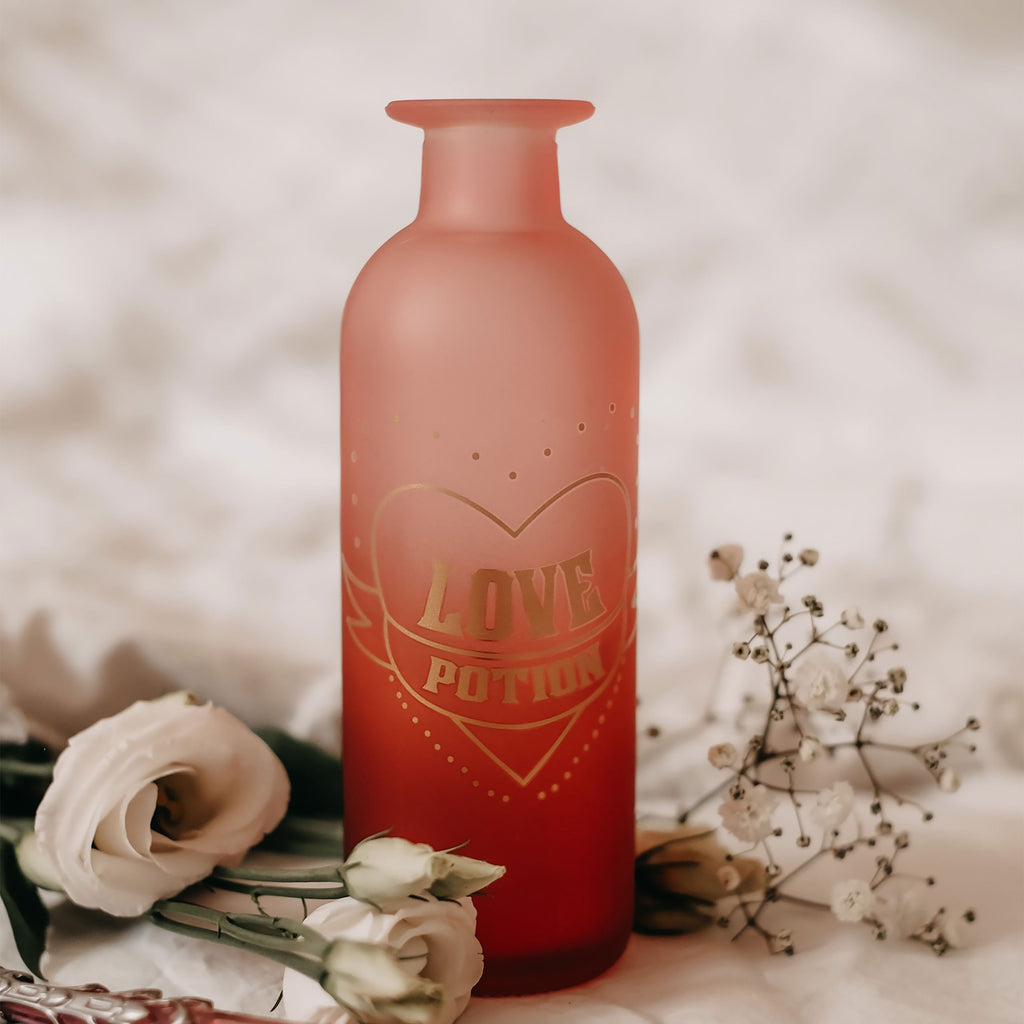 Image produit Harry Potter - Vase Potion Magique