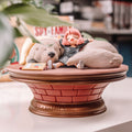 Image produit Spy x Family - Figurine Diorama Anya Forger