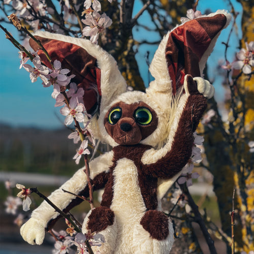 Image produit Avatar The Last Airbender - Peluche Momo