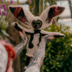 Product image Avatar The Last Airbender - Momo Plush Figure