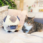 Product image Avatar: The Last Airbender - Appa Plush Figure 46 cm