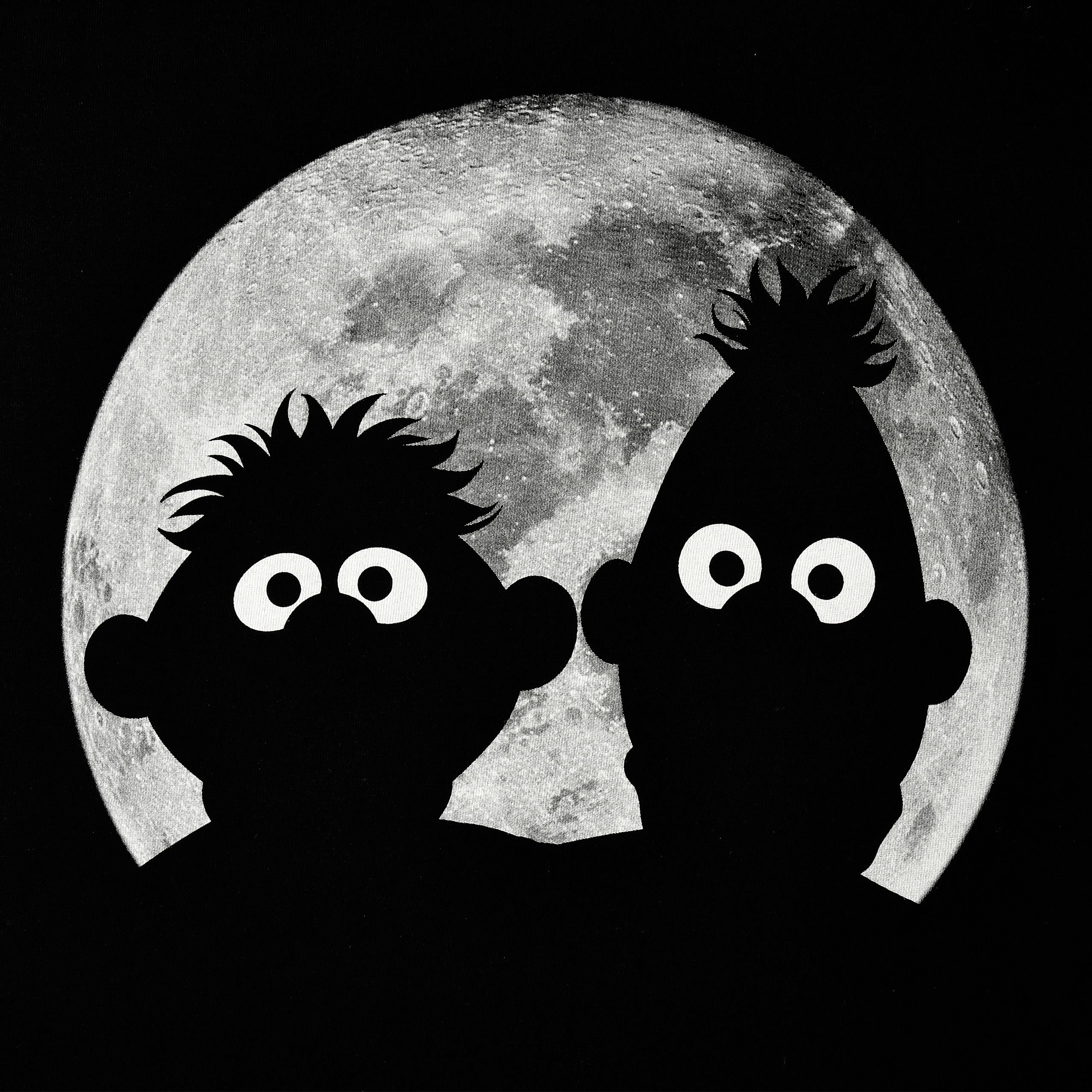 Image produit Sesame Street - T-shirt Ernie & Bert Moonnight noir