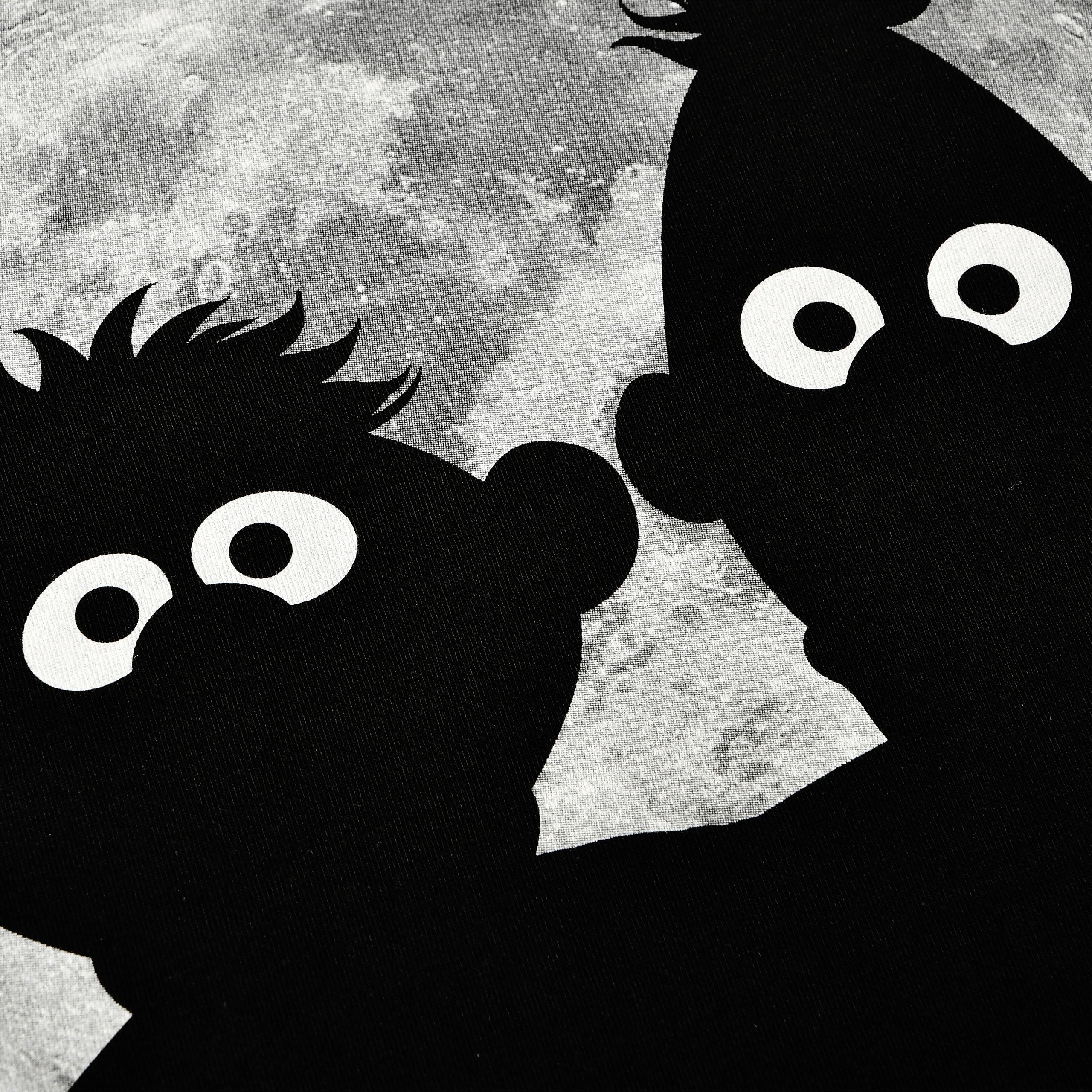 Image produit Sesame Street - T-shirt Ernie & Bert Moonnight noir