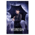 Image produit Wednesday - Affiche Maxi Teaser Downpour