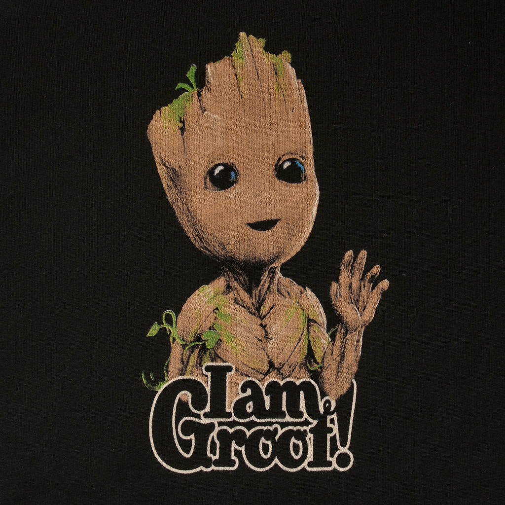 Product image Guardians of the Galaxy - I Am Groot Hoodie Black