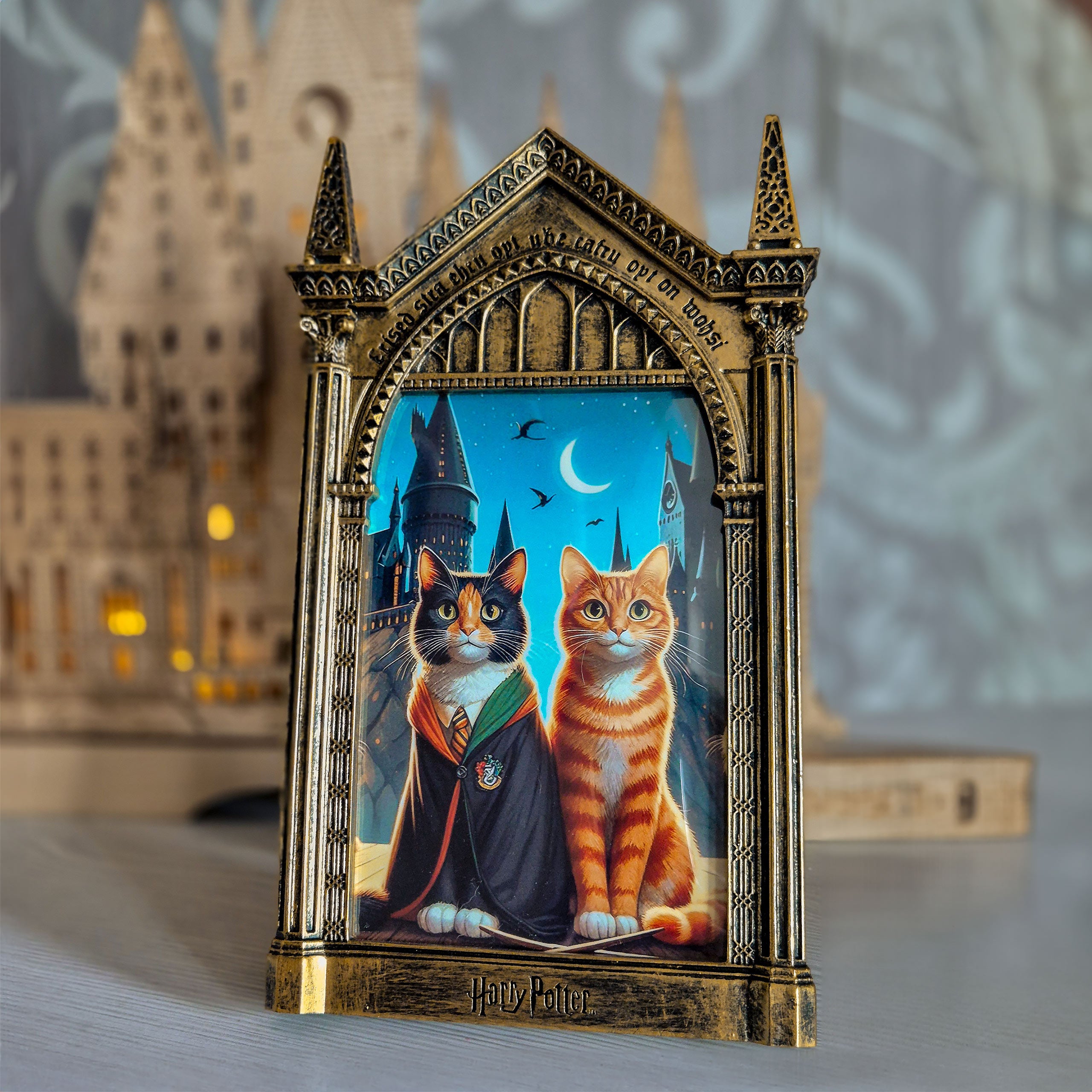 Image produit Harry Potter - Cadre photo Miroir du Riséd