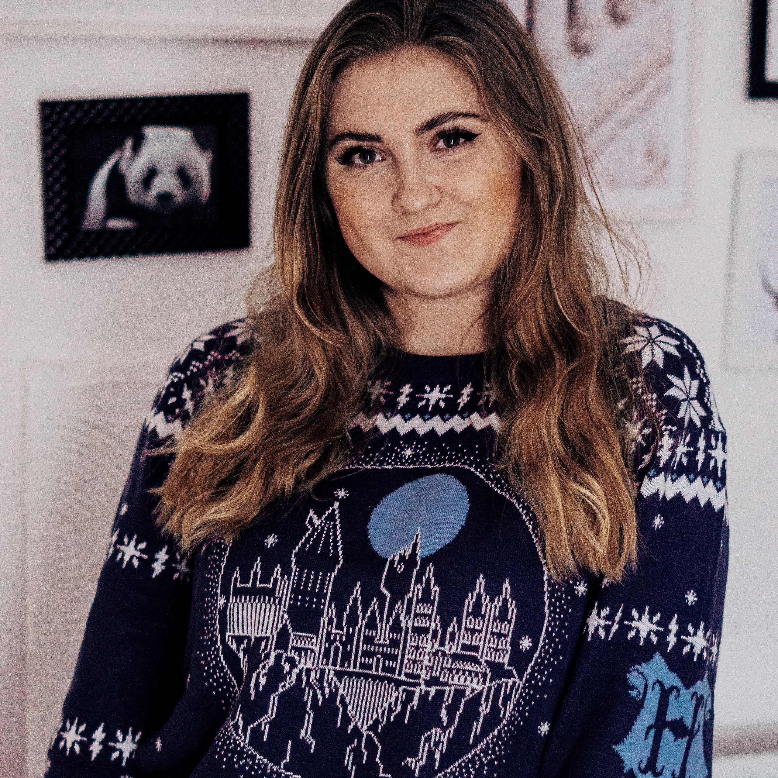 Image produit Harry Potter - Pull tricoté Château de Poudlard