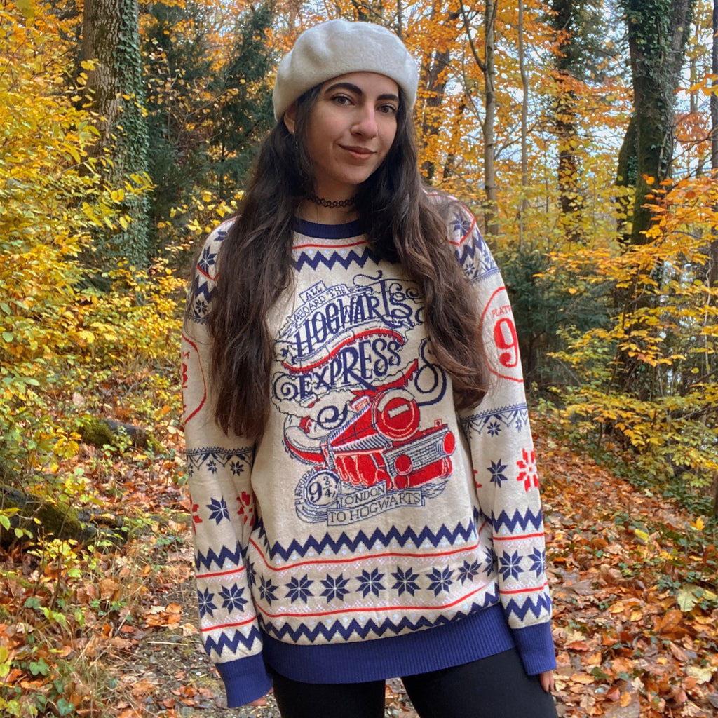 Image produit Harry Potter - Pull tricoté Hogwarts Express