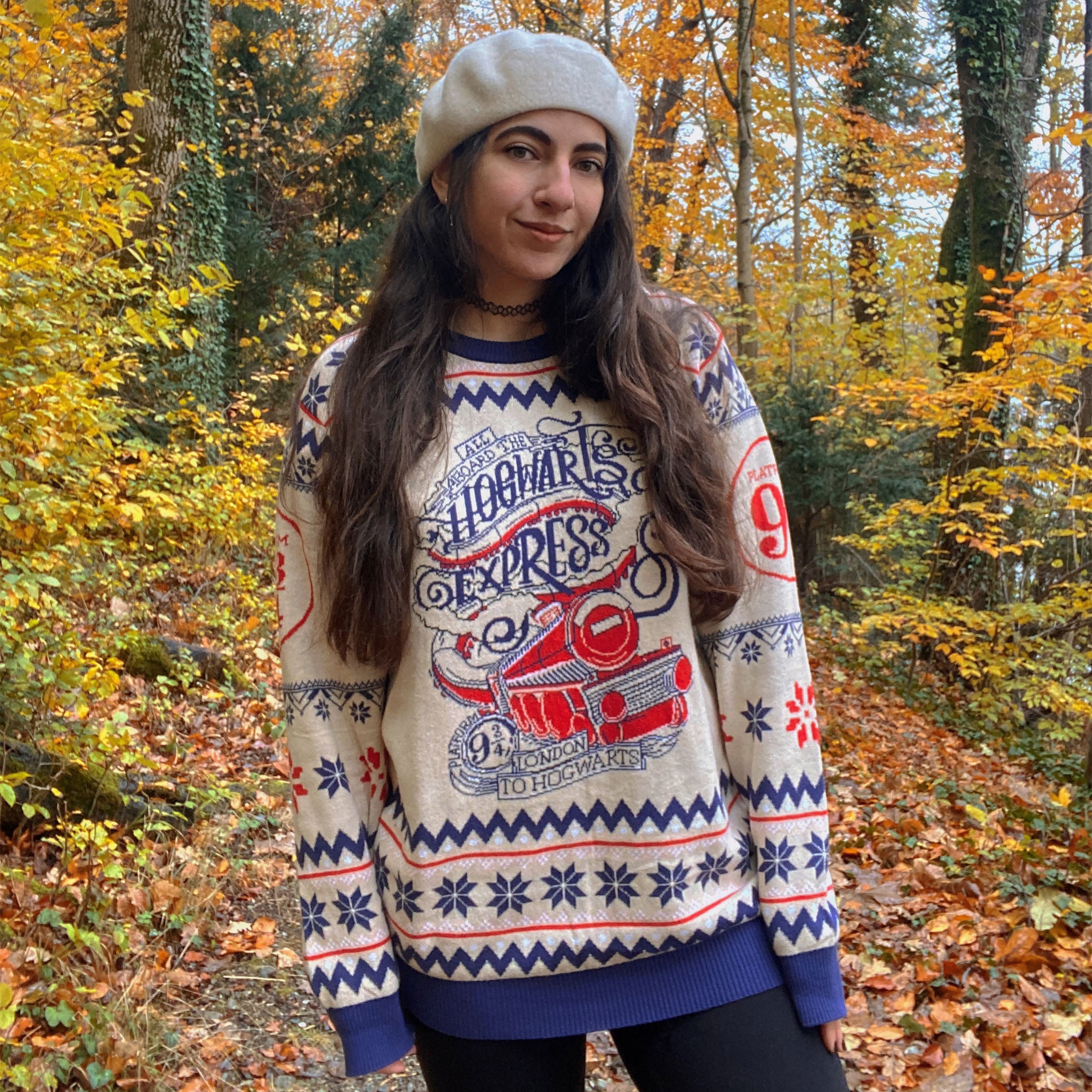 Image produit Harry Potter - Pull tricoté Hogwarts Express