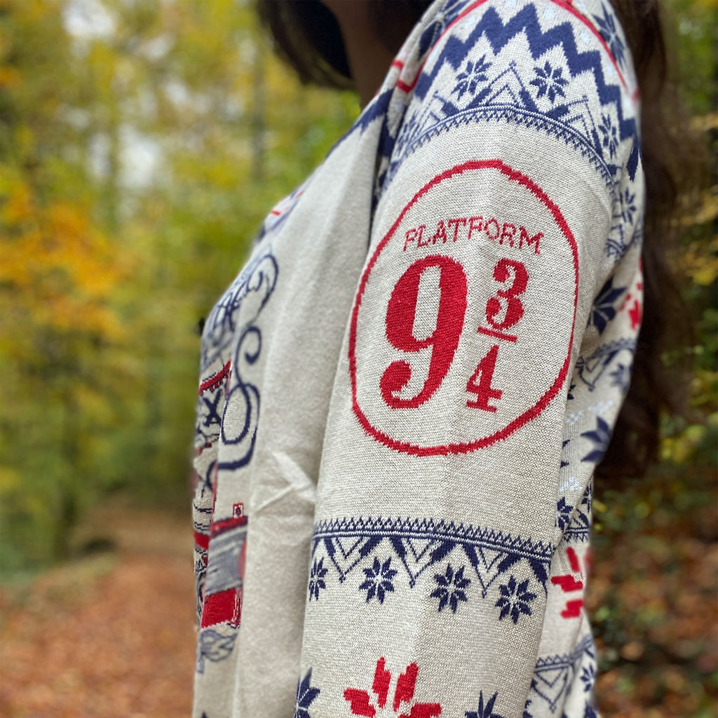 Image produit Harry Potter - Pull tricoté Hogwarts Express
